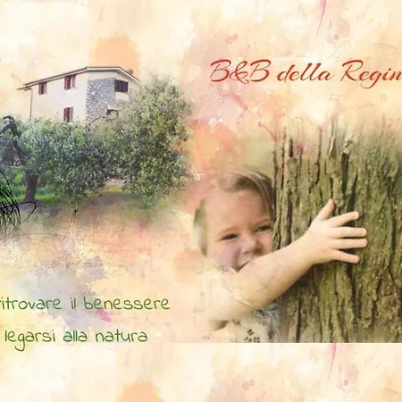 Della Regina... 丰迪