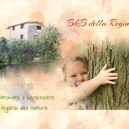 Bed & Breakfast Della Regina...